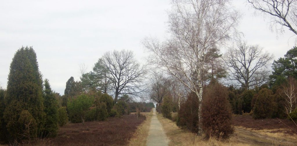 Rain or shine: Lauf durch die Lüneburger Heide