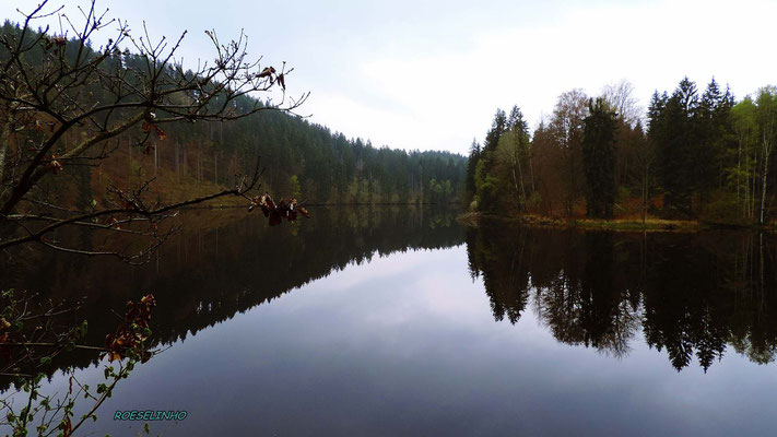 Bleilochstausee und Saale - eine traumhafte Kulisse (c) Roselinhos FotoAtelier Steffen Rössler