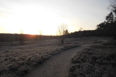 Heidschnuckenweg im Winter 2019