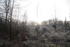 Heidschnuckenweg im Winter 2019