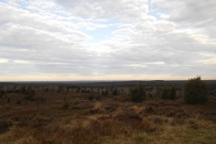 Heidschnuckenweg im Winter 2019