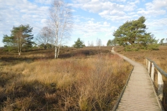 Heidschnuckenweg im Winter 2019