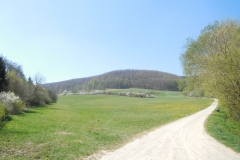 Unterwegs auf dem Werra-Burgen-Steig