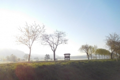 Unterwegs auf dem Werra-Burgen-Steig