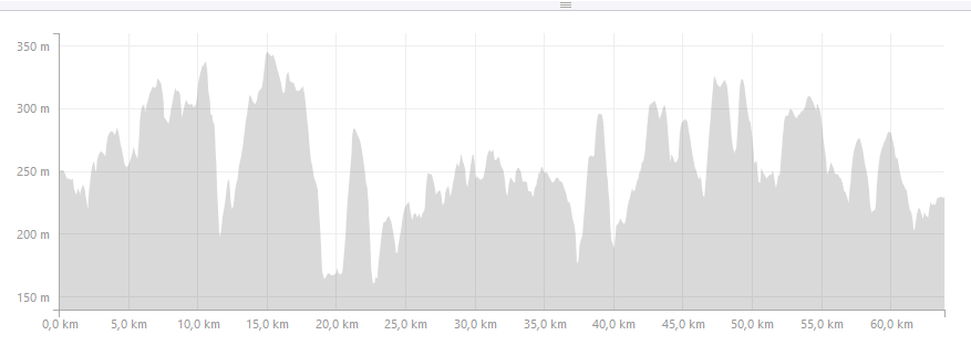 Maintal Ultratrail 2019 - ein knackides, unruhiges Profil (c) strava.com