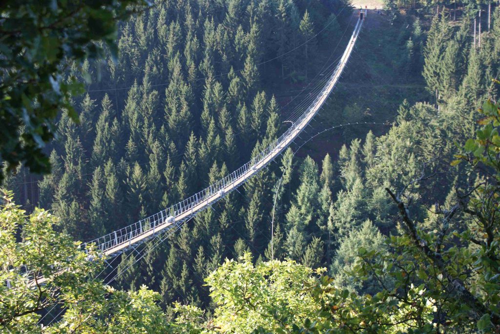 Die atemberaubende Geierlay (c)   Hängeseilbrücke Geierlay in Mörsdorf via Facebook