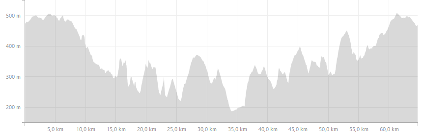 Hunsbuckel Trail Höhenprofil (c) strava.com