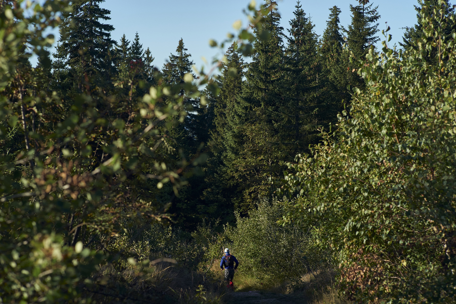 Und endlich - die Trails (c) Arberland Ultratrail / Marco Felgenhauer / Woidlife Photography