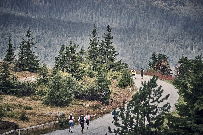  Landschaft genießen beim Arberland Ultrarun (c) Arberland Ultrarun