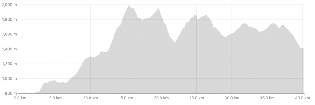 Transalpine Run 2019 - Profil Etappe 1 (c)  strava.com