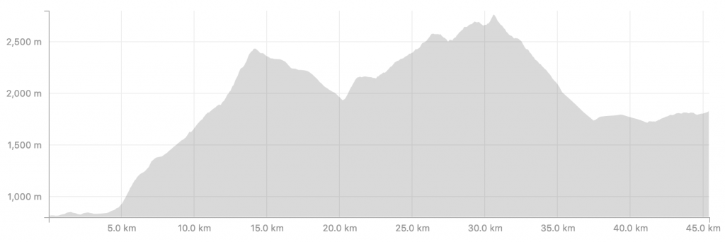 Transalpine Run 2019 - Etappe 4 (c) strava.com