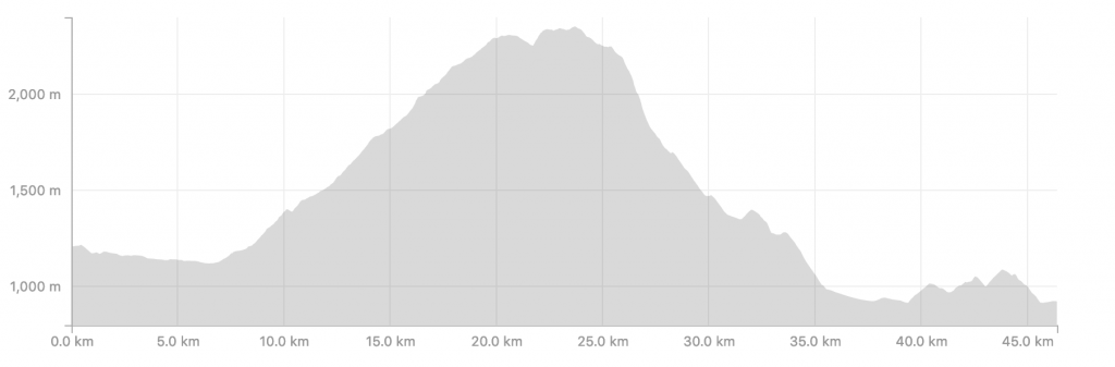 Transalpine Run 2019 - Streckenprofil Tag 7 (c) strava.com