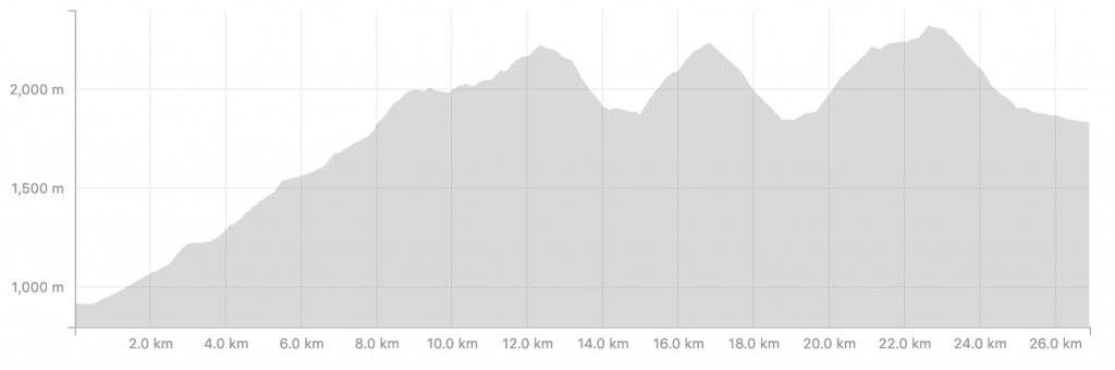 Transalpine Run 2019 - Profil der 8. Etappe (c) strava.com