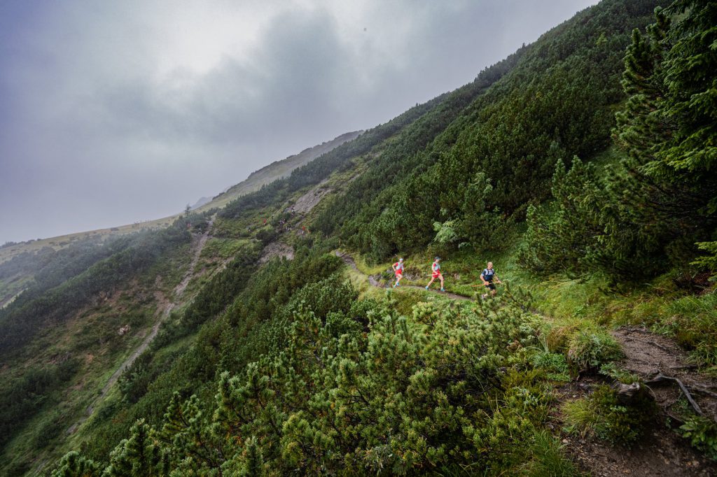 Transalpine Run 2019 - Bilderbuch-Trails auf Etappe 3 (c) PlanB / Harald Wisthaler