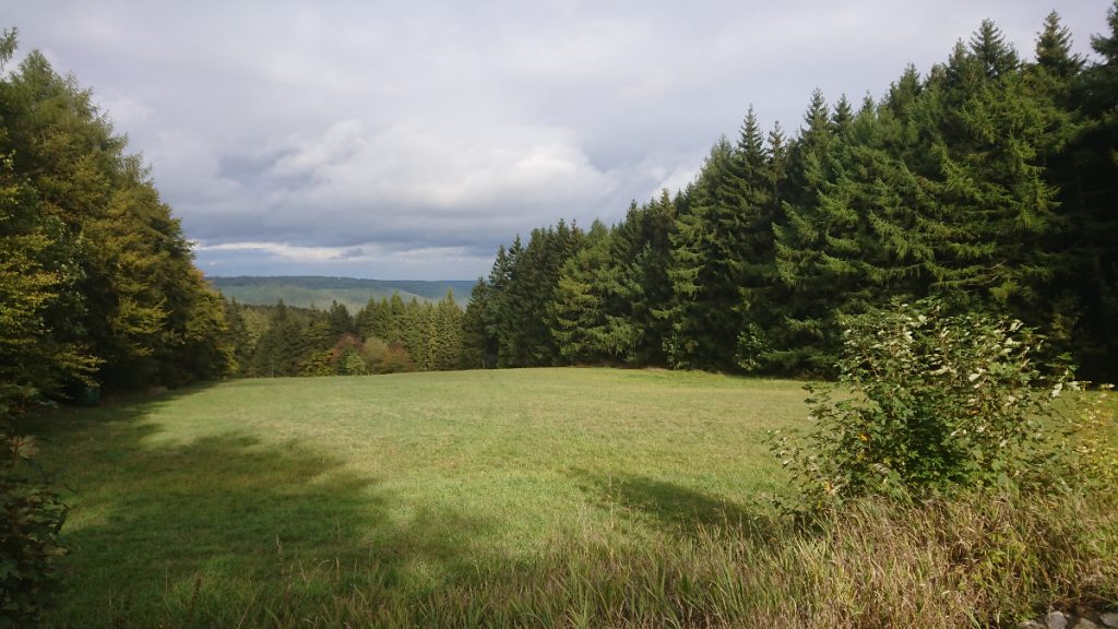 Schöne Blicke weg von der Rennsteig-Waldautobahn