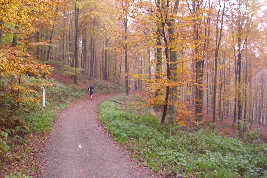 Herbst im Bergischen Land (c) Röntgenlauf 2011