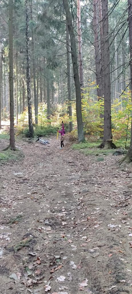 Viel Wald und gut zu  laufen (c) Oberlausitztrail