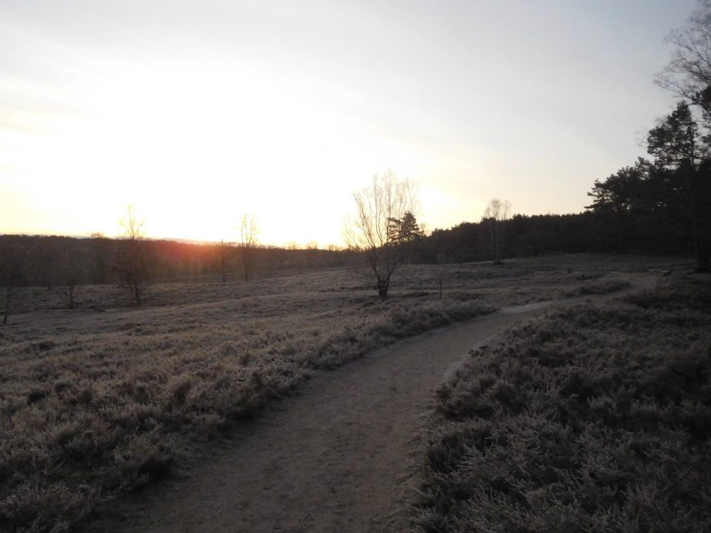 Heidschnuckenweg im Winter 2019