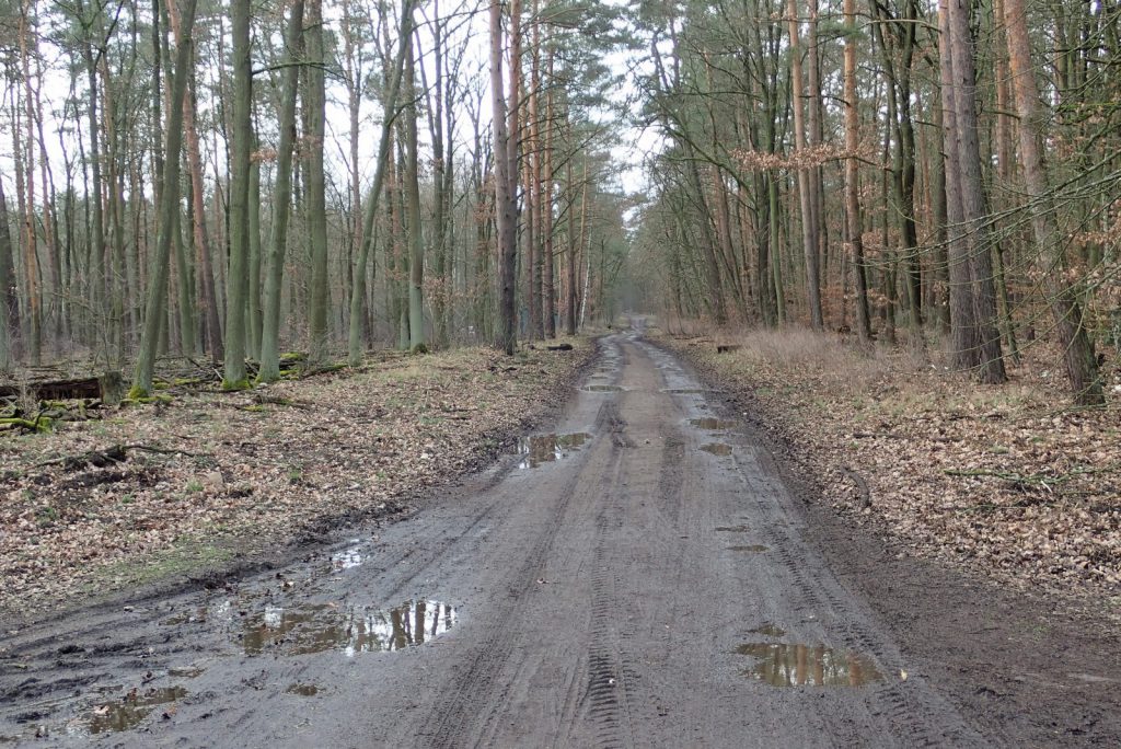 Wenn man nicht dreckig wird, war es halt kein CX (c) Triathlongemeinschaft Sisu Berlin 