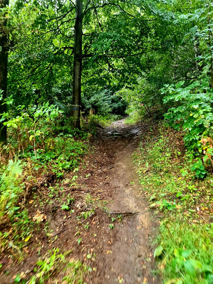 Sieht gar nicht so schlimm aus, ist aber scheißrutschig (c) M. Kosubeck / Babelsberger Trail Racing Team