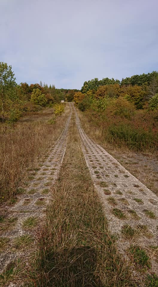 Panzerplatten mit Knöchelbrech-Option (c) Borderland