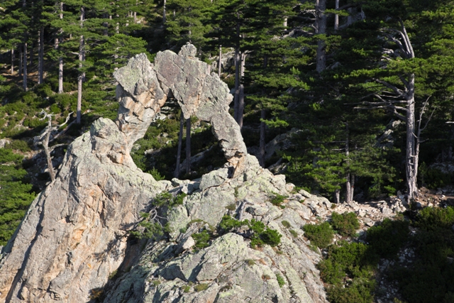Der Felsbogen - nach dem ersten Anstieg wartet eines der Wahrzeichen der Strecke (c) Restonica Trail