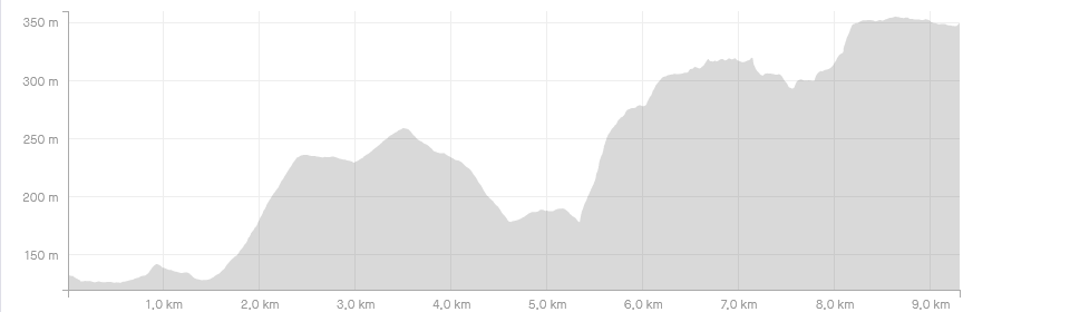 Festungslaug 2021 (c) strava.com