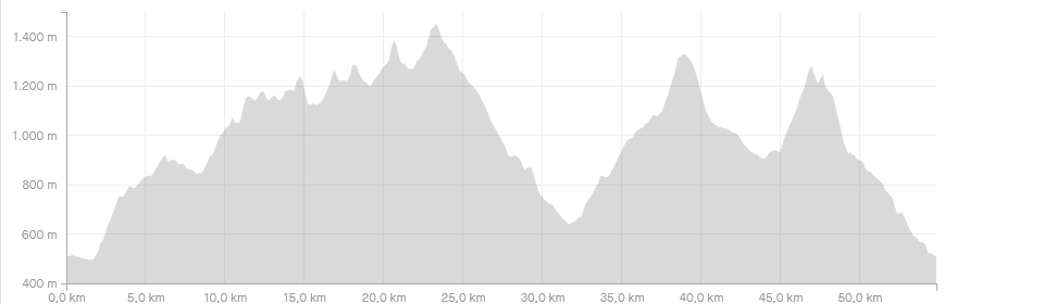 Höhenprofil des Ultra Trail Lamer Winkel 2021 (c) strava.com