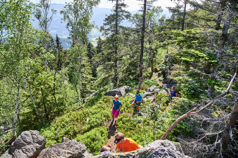 Feinste Trails in wunderschöner Gegend (c) Marco Felgenhauer / Woidlife Photography