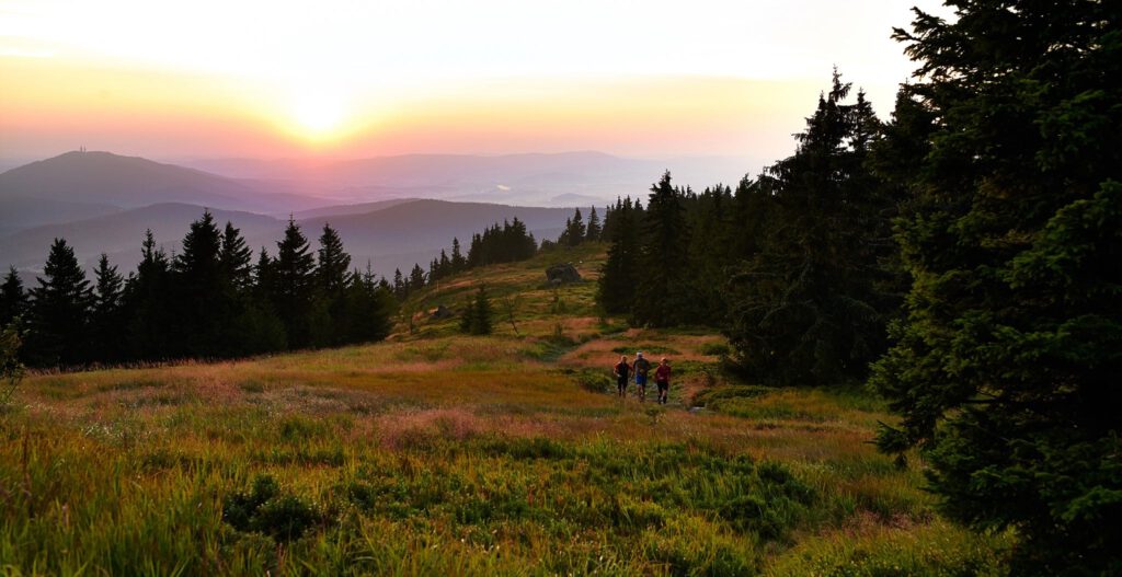 So ungefähr sieht es im Bayerischen Wald aus, wenn die Sonne mitspielt (c) U.TLW via Facebook