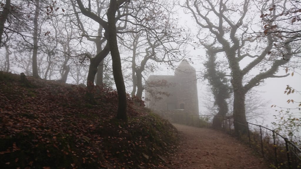 Landschaftspark Niederwald bei Rüdesheim