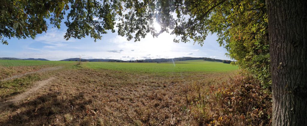 Oberlausitztrail bei gutem Wetter - sehr angenehm (c)  Oberlausitztrail