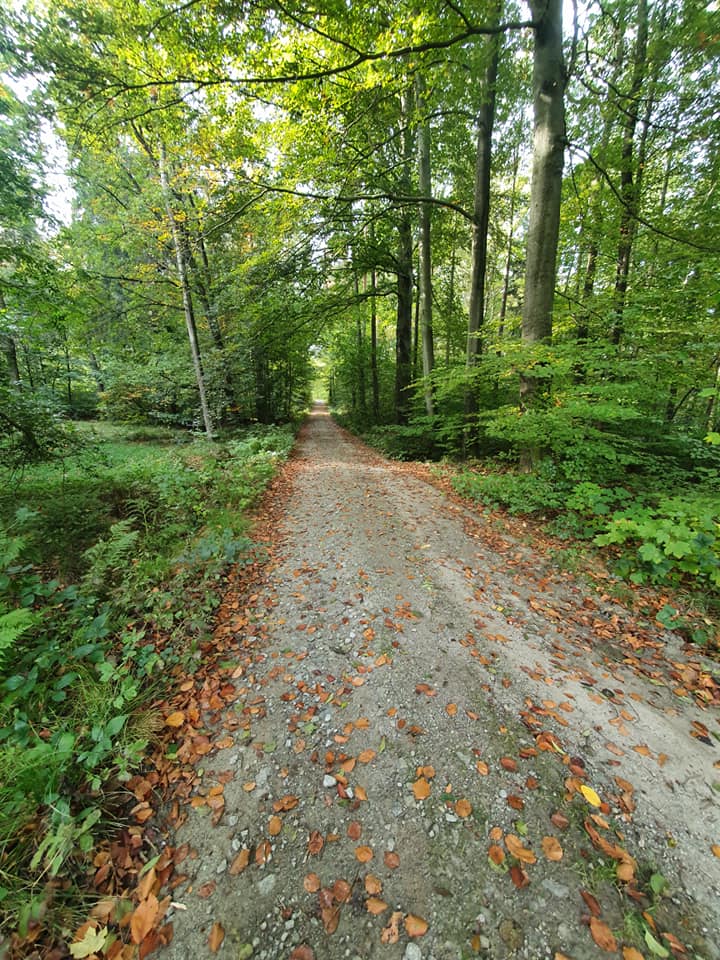 Zeit um Zeit zu machen - es ist nicht immer so laufbar auf dem Oberlausitztrail (c)  Oberlausitztrail